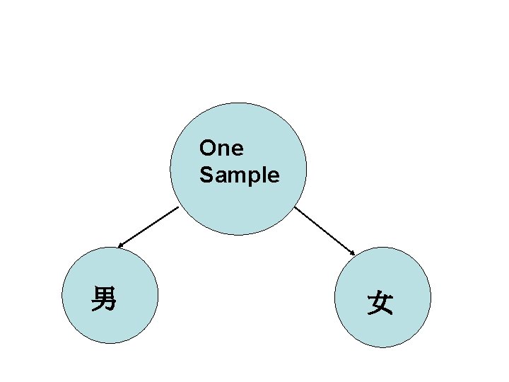 One Sample 男 女 