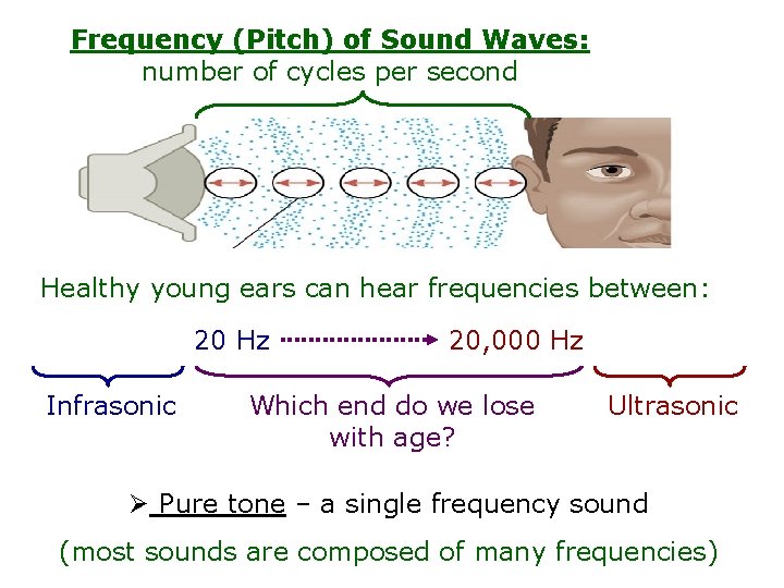 Frequency (Pitch) of Sound Waves: number of cycles per second Healthy young ears can