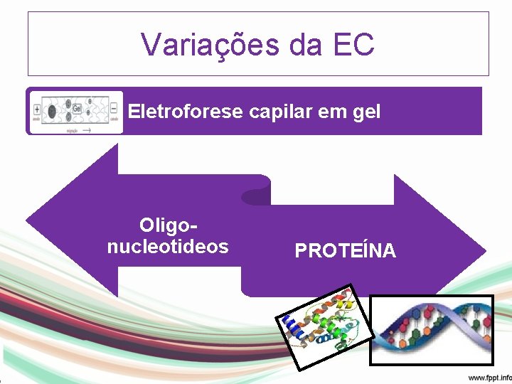 Variações da EC Eletroforese capilar em gel Oligonucleotideos PROTEÍNA 