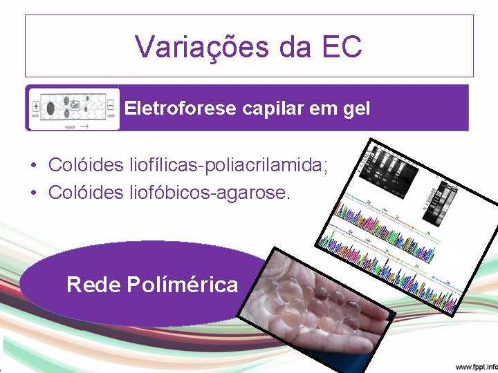 Variações da EC Eletroforese capilar em gel • Colóides liofílicas-poliacrilamida; • Colóides liofóbicos-agarose. Rede