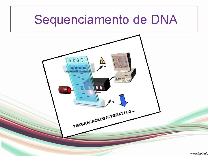 Sequenciamento de DNA 