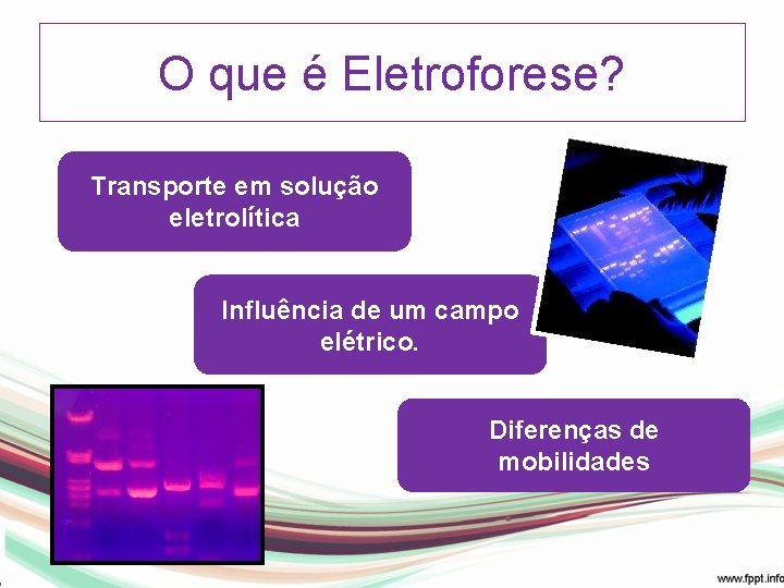 O que é Eletroforese? Transporte em solução eletrolítica Influência de um campo elétrico. Diferenças