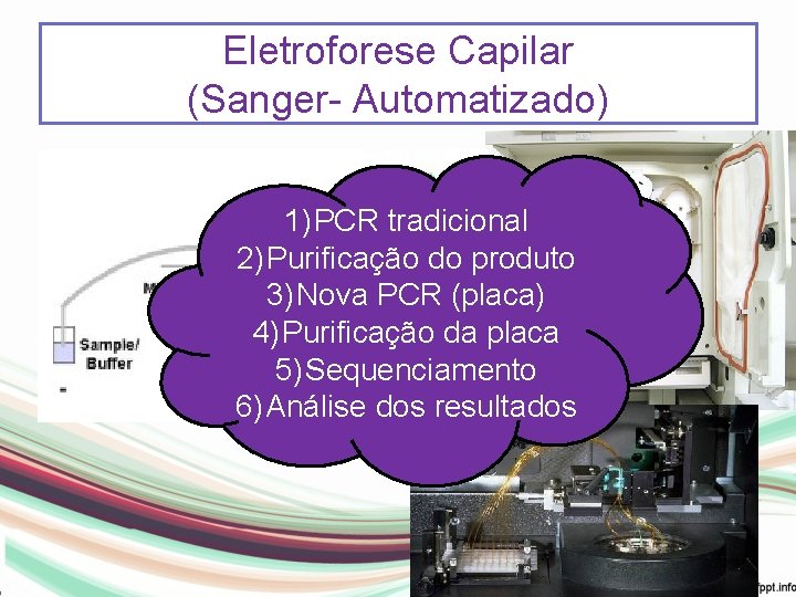 Eletroforese Capilar (Sanger- Automatizado) 1) PCR tradicional 2) Purificação do produto 3) Nova PCR