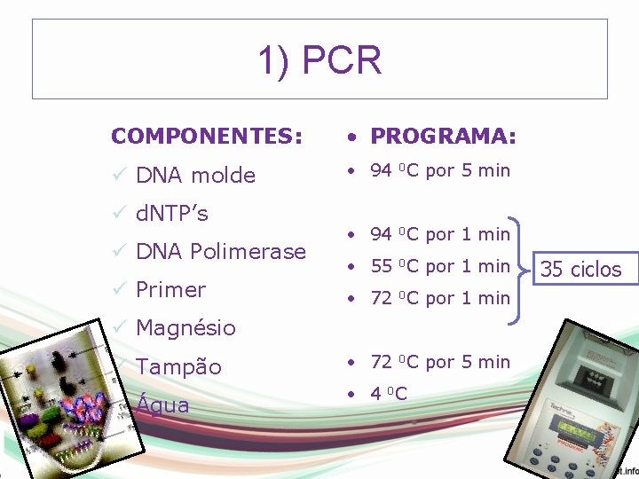 1) PCR COMPONENTES: • PROGRAMA: ü DNA molde • 94 0 C por 5