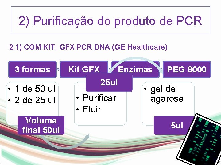 2) Purificação do produto de PCR 2. 1) COM KIT: GFX PCR DNA (GE