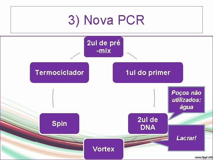 3) Nova PCR 2 ul de pré -mix 1 ul do primer Termociclador Poços