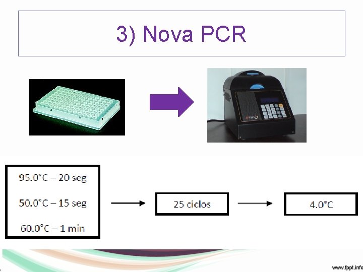 3) Nova PCR 