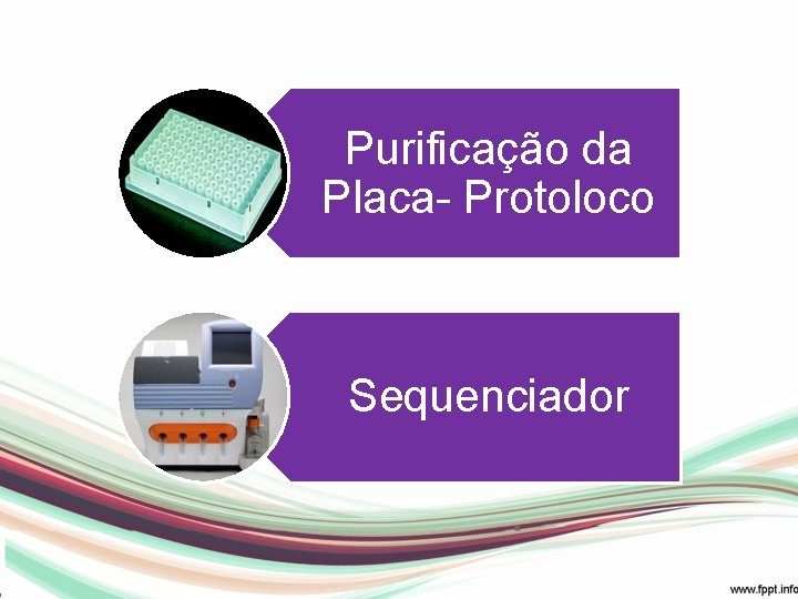 Purificação da Placa- Protoloco Sequenciador 