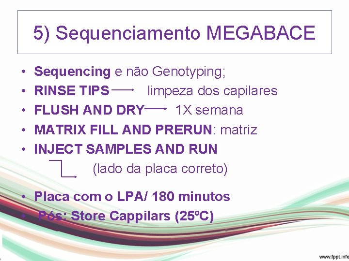 5) Sequenciamento MEGABACE • • • Sequencing e não Genotyping; RINSE TIPS limpeza dos