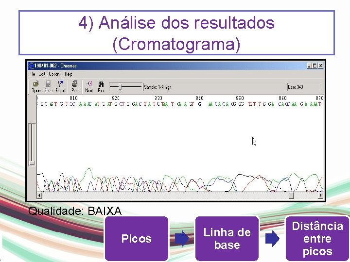 4) Análise dos resultados (Cromatograma) Qualidade: BAIXA Picos Linha de base Distância entre picos