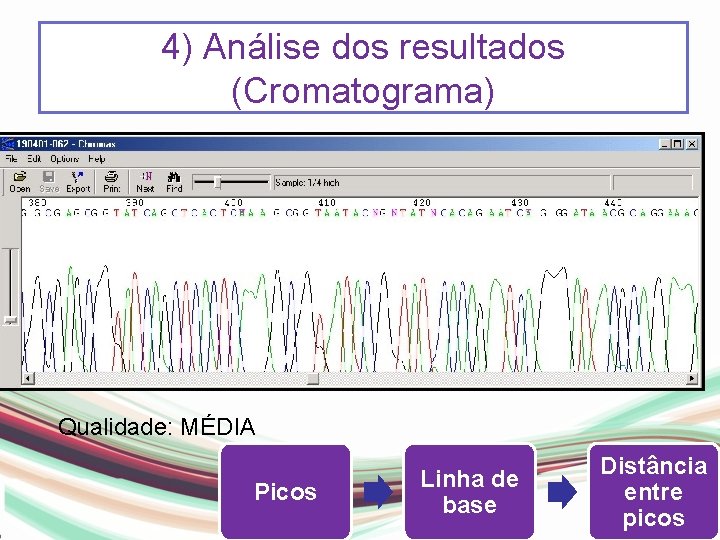 4) Análise dos resultados (Cromatograma) Qualidade: MÉDIA Picos Linha de base Distância entre picos