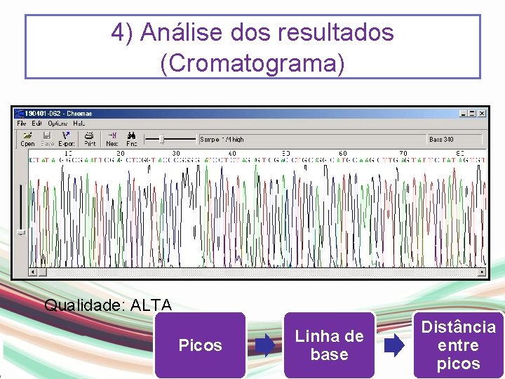 4) Análise dos resultados (Cromatograma) Qualidade: ALTA Picos Linha de base Distância entre picos