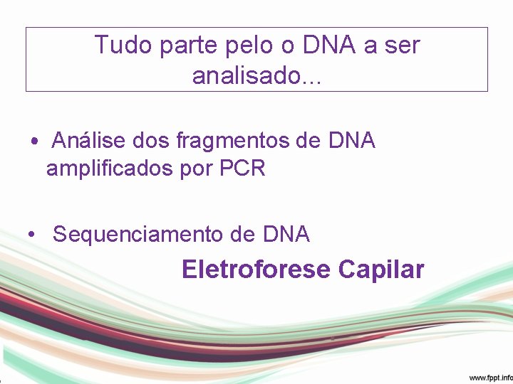 Tudo parte pelo o DNA a ser analisado. . . • Análise dos fragmentos