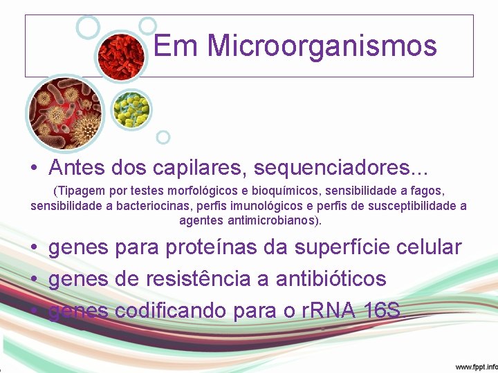 Em Microorganismos • Antes dos capilares, sequenciadores. . . (Tipagem por testes morfológicos e