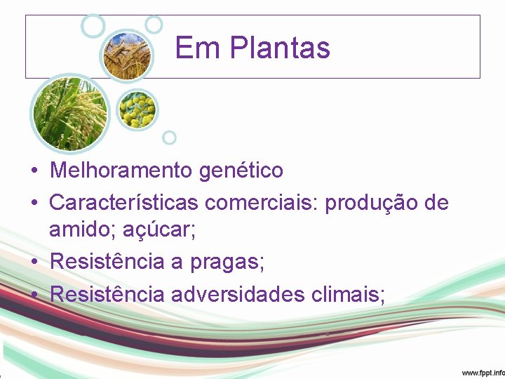 Em Plantas • Melhoramento genético • Características comerciais: produção de amido; açúcar; • Resistência