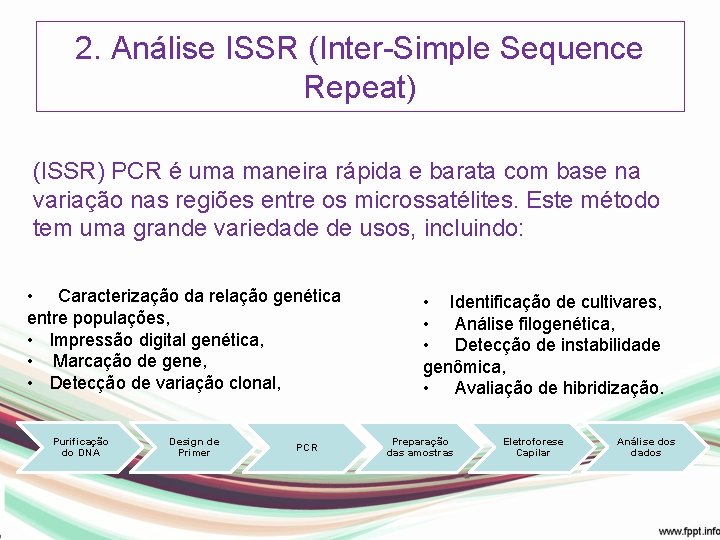 2. Análise ISSR (Inter-Simple Sequence Repeat) (ISSR) PCR é uma maneira rápida e barata