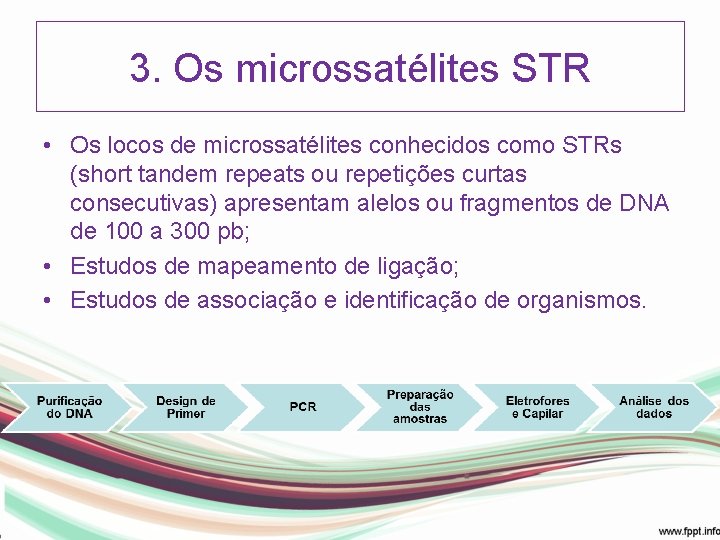 3. Os microssatélites STR • Os locos de microssatélites conhecidos como STRs (short tandem