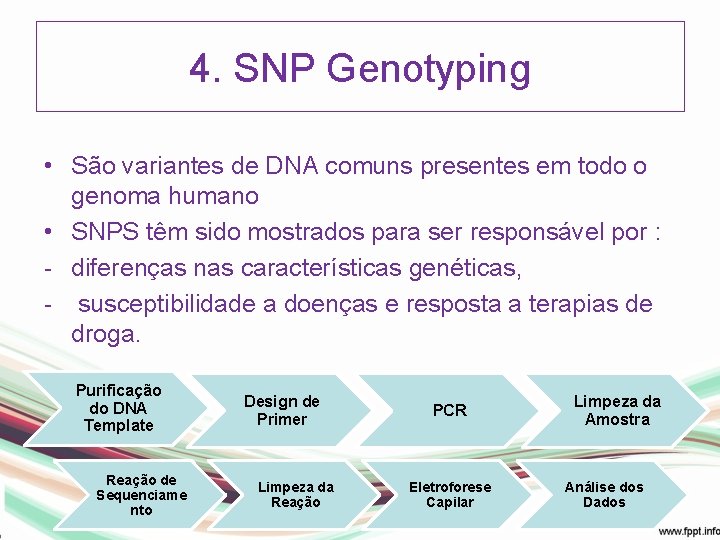 4. SNP Genotyping • São variantes de DNA comuns presentes em todo o genoma