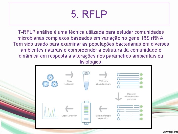 5. RFLP T-RFLP análise é uma técnica utilizada para estudar comunidades microbianas complexos baseados