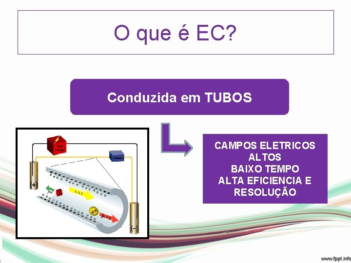 O que é EC? Conduzida em TUBOS CAMPOS ELETRICOS 15 a ALTOS 100 µm