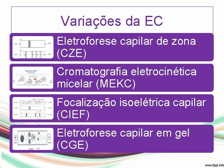 Variações da EC Eletroforese capilar de zona (CZE) Cromatografia eletrocinética micelar (MEKC) Focalização isoelétrica
