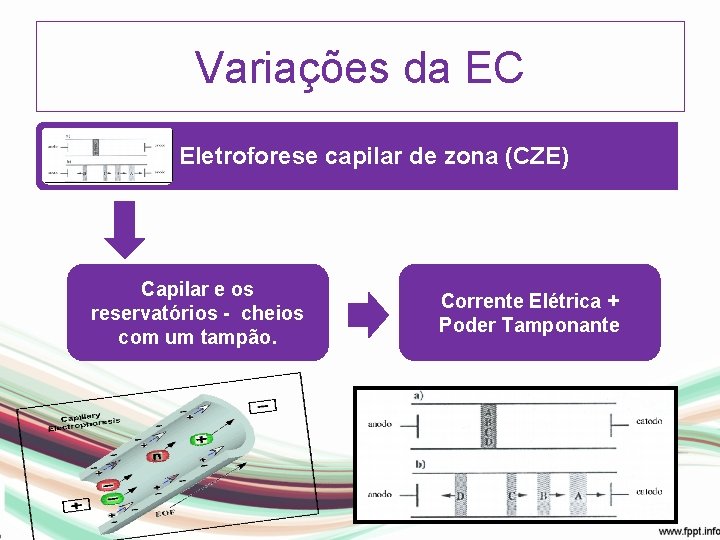 Variações da EC Eletroforese capilar de zona (CZE) Capilar e os reservatórios - cheios