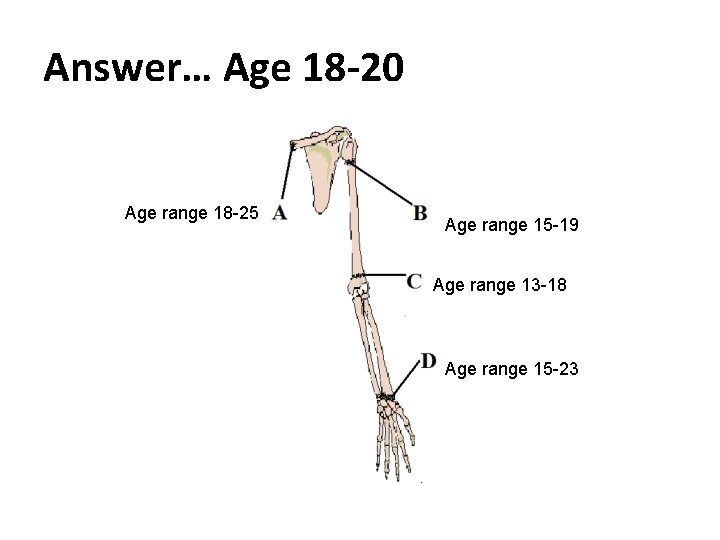 Answer… Age 18 -20 Age range 18 -25 Age range 15 -19 Age range Answer… Age 18 -20 Age range 18 -25 Age range 15 -19 Age range
