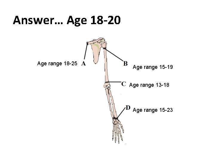 Answer… Age 18 -20 Age range 18 -25 Age range 15 -19 Age range