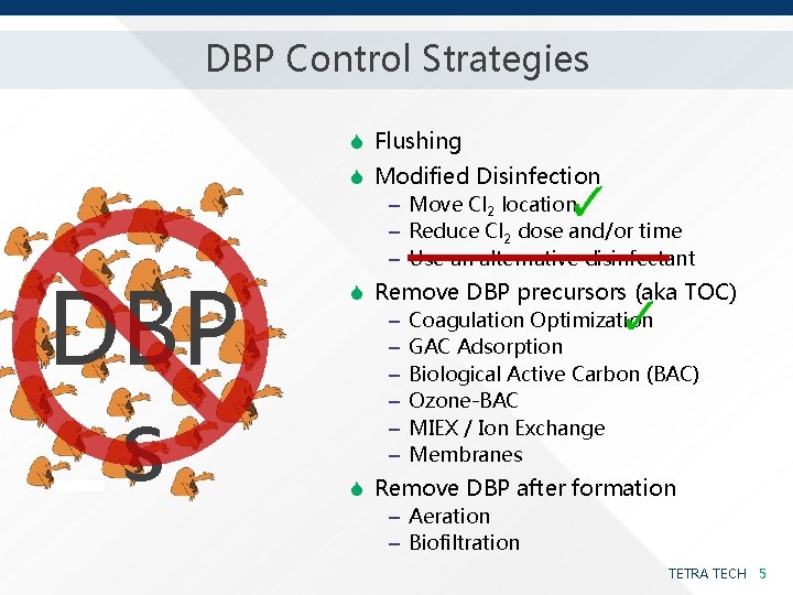 DBP Control Strategies S Flushing S Modified Disinfection DBP s ‒ Move Cl 2