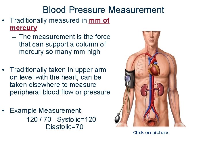 Blood Pressure Measurement • Traditionally measured in mm of mercury – The measurement is