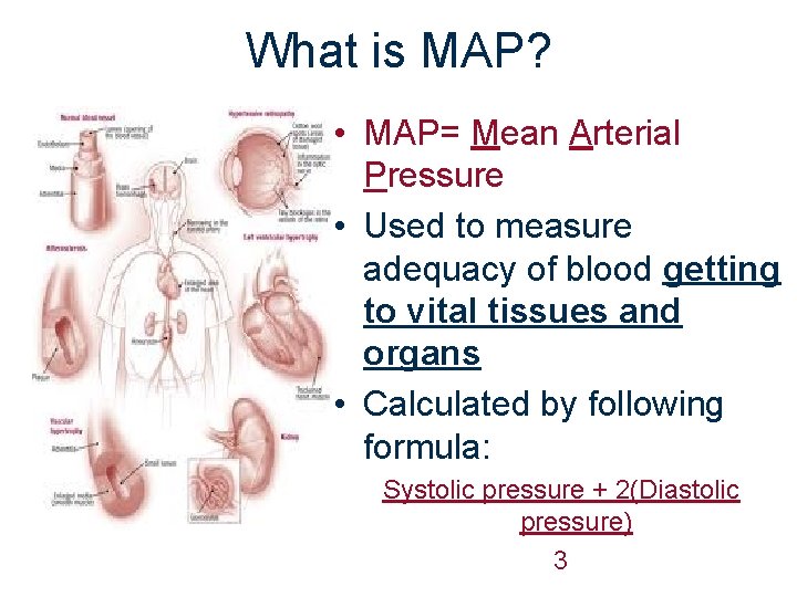 What is MAP? • MAP= Mean Arterial Pressure • Used to measure adequacy of