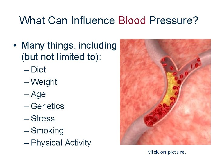 What Can Influence Blood Pressure? • Many things, including (but not limited to): –