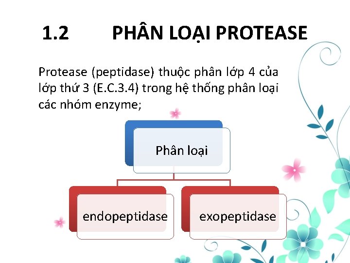 1. 2 PH N LOẠI PROTEASE Protease (peptidase) thuộc phân lớp 4 của lớp