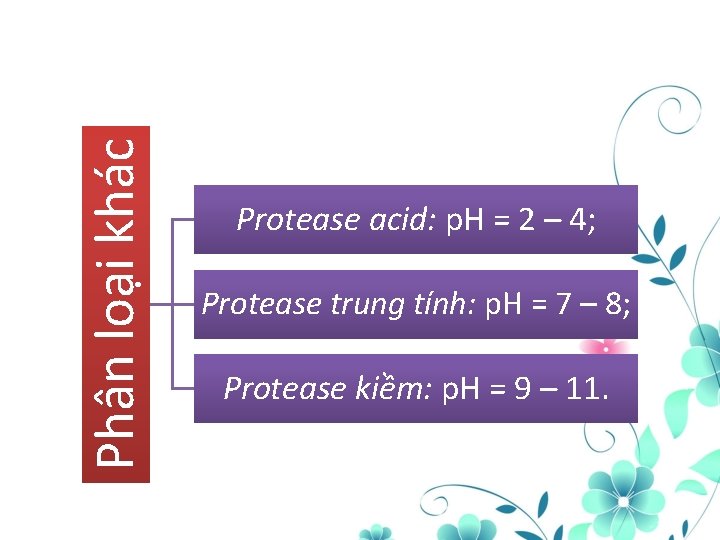 Phân loại khác Protease acid: p. H = 2 – 4; Protease trung tính: