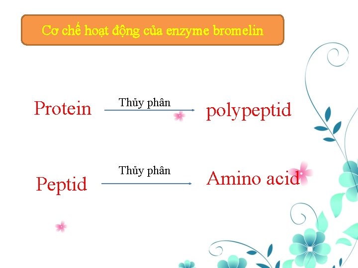 Cơ chế hoạt động của enzyme bromelin Protein Peptid Thủy phân polypeptid Thủy phân