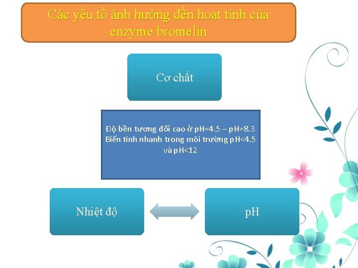 Các yếu tố ảnh hưởng đến hoạt tính của enzyme bromelin Cơ chất Độ