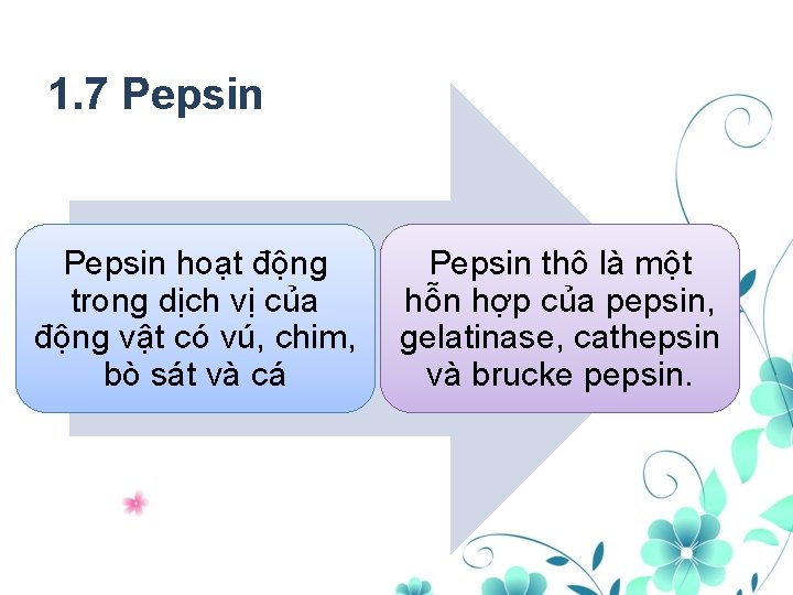 1. 7 Pepsin hoạt động trong dịch vị của động vật có vú, chim,