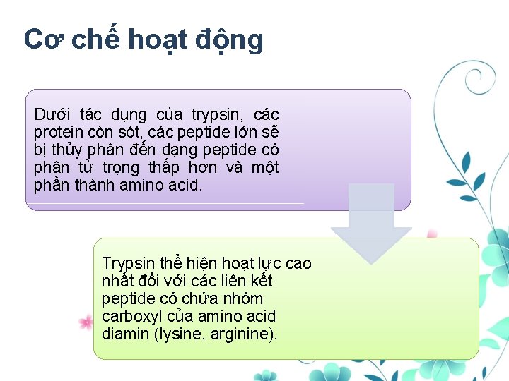 Cơ chế hoạt động Dưới tác dụng của trypsin, các protein còn sót, các