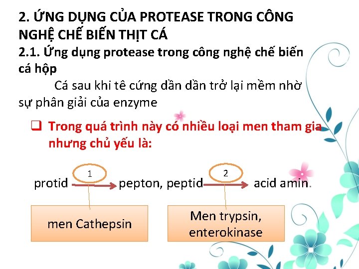 2. ỨNG DỤNG CỦA PROTEASE TRONG CÔNG NGHỆ CHẾ BIẾN THỊT CÁ 2. 1.