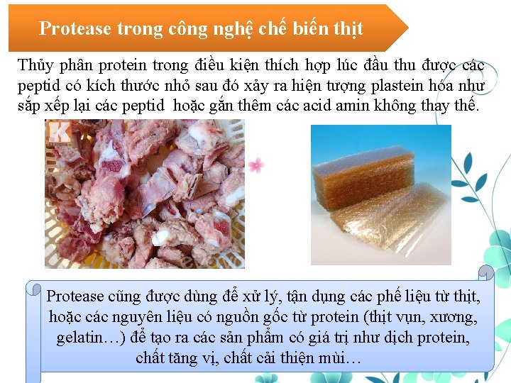 Protease trong công nghệ chế biến thịt Thủy phân protein trong điều kiện thích