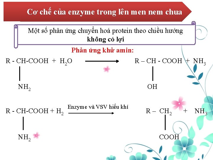 Cơ chế của enzyme trong lên men nem chua Một số phản ứng chuyển