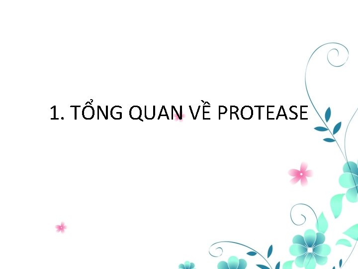 1. TỔNG QUAN VỀ PROTEASE 