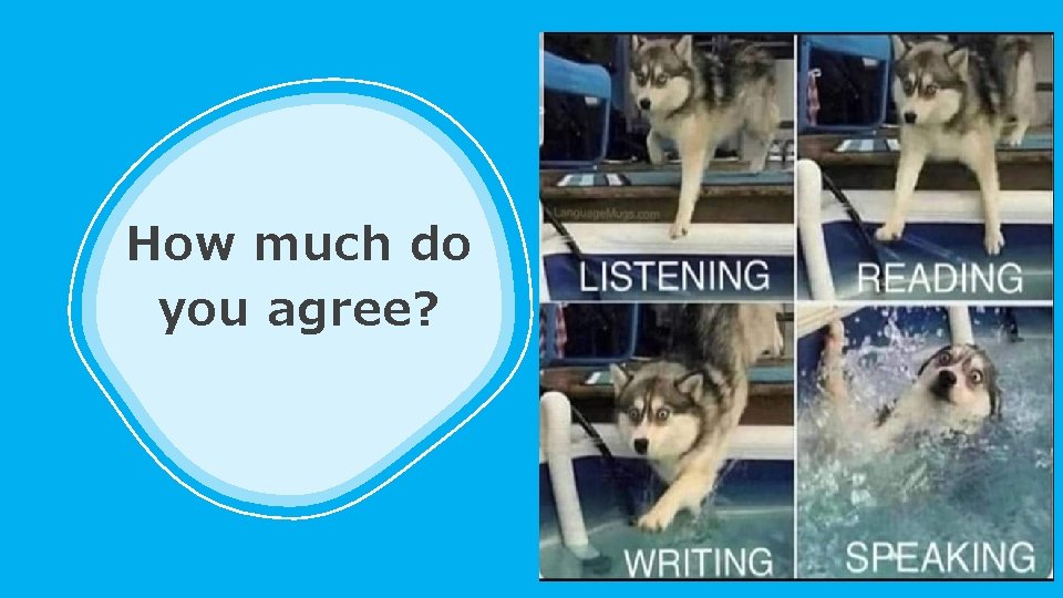 How much do you agree? 