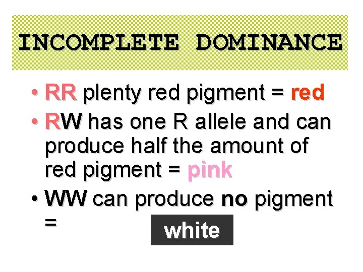 INCOMPLETE DOMINANCE • RR plenty red pigment = red • RW has one R INCOMPLETE DOMINANCE • RR plenty red pigment = red • RW has one R