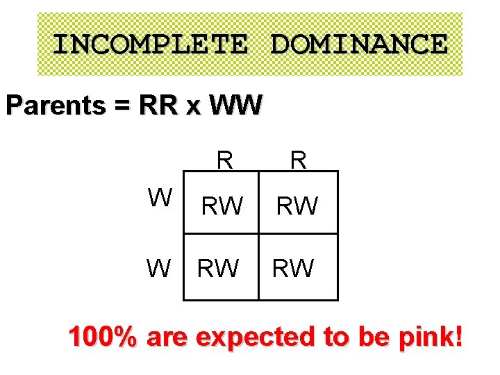 INCOMPLETE DOMINANCE Parents = RR x WW R R W RW RW 100% are INCOMPLETE DOMINANCE Parents = RR x WW R R W RW RW 100% are