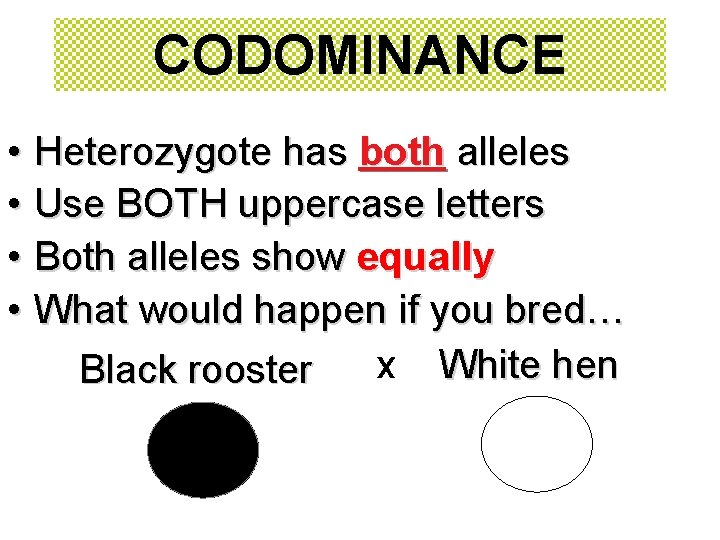 CODOMINANCE • Heterozygote has both alleles • Use BOTH uppercase letters • Both alleles CODOMINANCE • Heterozygote has both alleles • Use BOTH uppercase letters • Both alleles