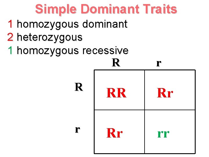 Simple Dominant Traits 1 homozygous dominant 2 heterozygous 1 homozygous recessive R r R Simple Dominant Traits 1 homozygous dominant 2 heterozygous 1 homozygous recessive R r R