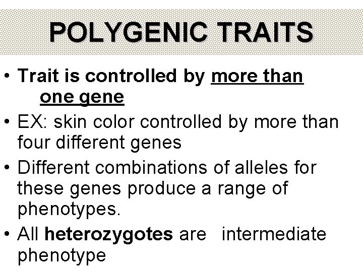 POLYGENIC TRAITS • Trait is controlled by more than one gene • EX: skin POLYGENIC TRAITS • Trait is controlled by more than one gene • EX: skin