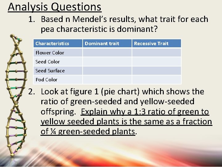 Analysis Questions 1. Based n Mendel’s results, what trait for each pea characteristic is