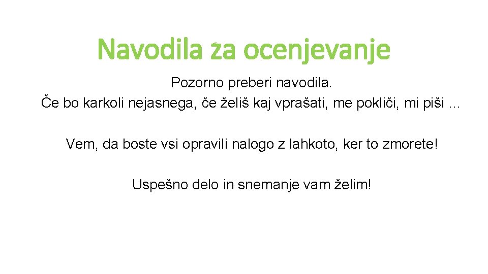 Navodila za ocenjevanje Pozorno preberi navodila. Če bo karkoli nejasnega, če želiš kaj vprašati,